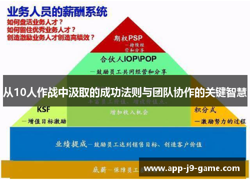 从10人作战中汲取的成功法则与团队协作的关键智慧 从10人作战中汲取的成功法则与团队协作的关键智慧