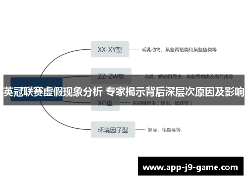 英冠联赛虚假现象分析 专家揭示背后深层次原因及影响