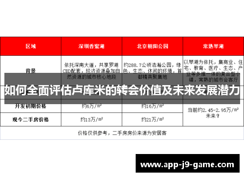 如何全面评估卢库米的转会价值及未来发展潜力