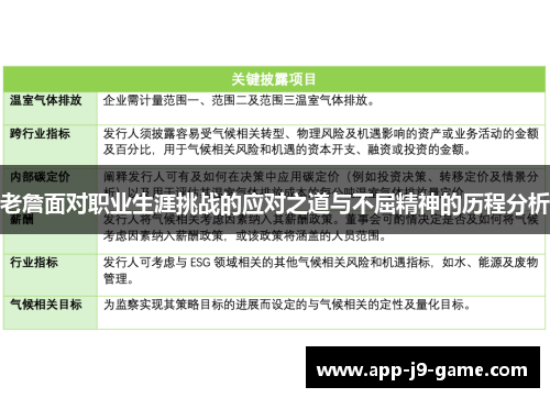 老詹面对职业生涯挑战的应对之道与不屈精神的历程分析 老詹面对职业生涯挑战的应对之道与不屈精神的历程分析
